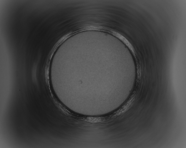 X0000100190954200806201252