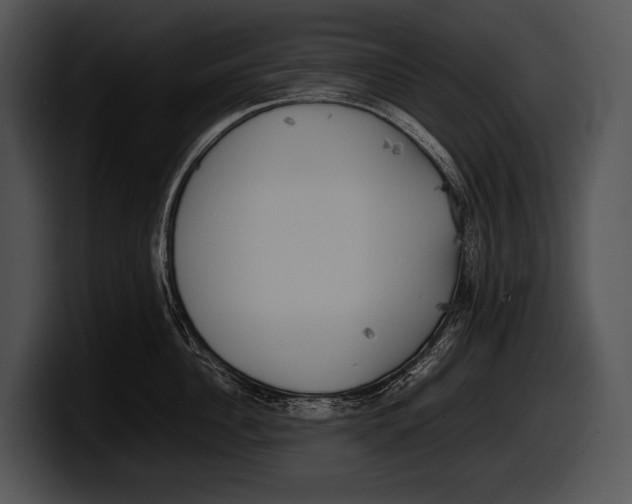 X0000100190956200806201252