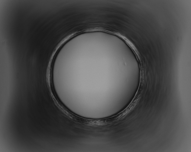 X0000100190957200806201252