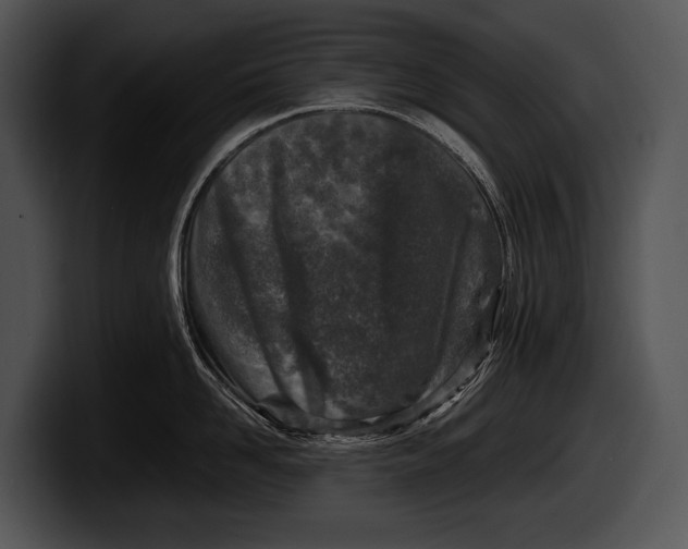 X0000100190958200806201252