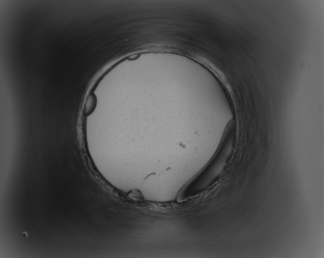 X0000100190960200806201252