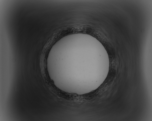 X0000100190961200806201251