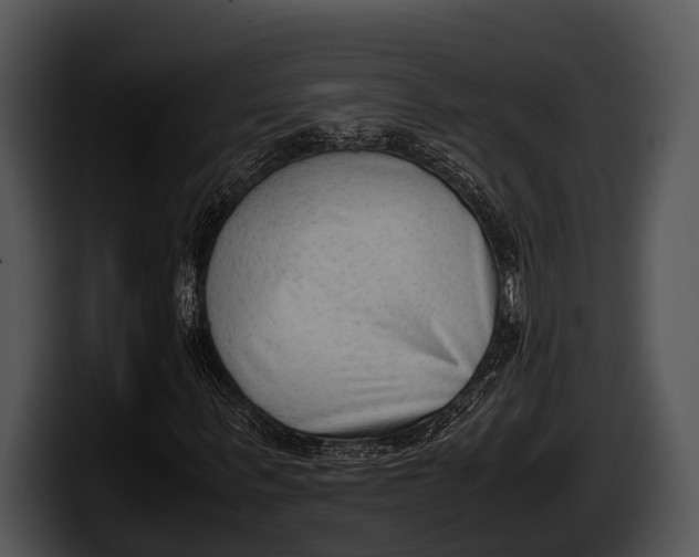 X0000100190963200806201251