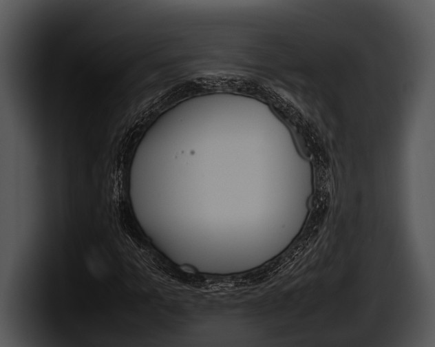 X0000100190965200806201251