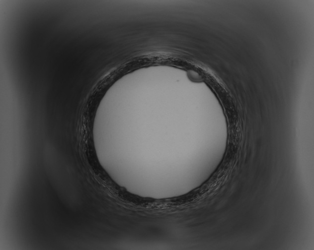 X0000100190967200806201251