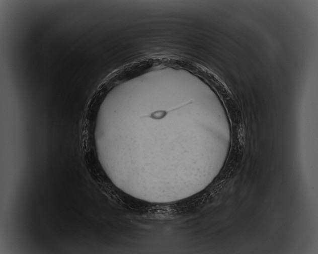 X0000100190968200806201251