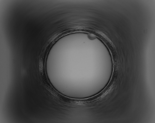 X0000100190969200806201251