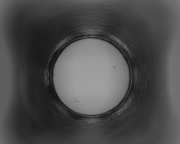 X0000100190970200806201251