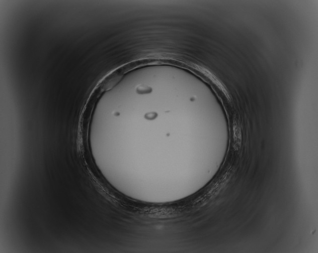 X0000100190972200806201251