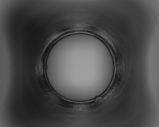 X0000100190973200806201251