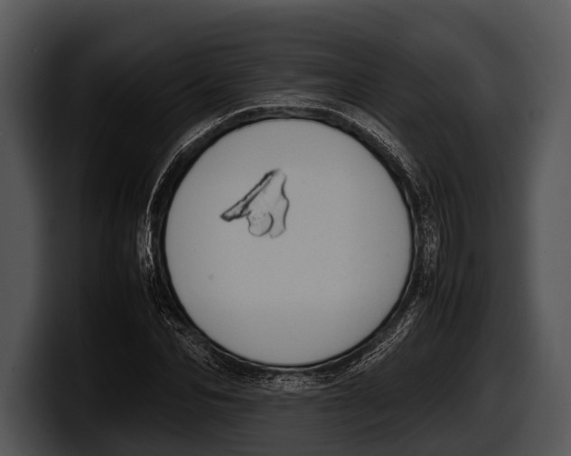 X0000100190974200806201251