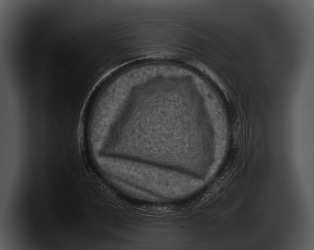 X0000100190975200806201251