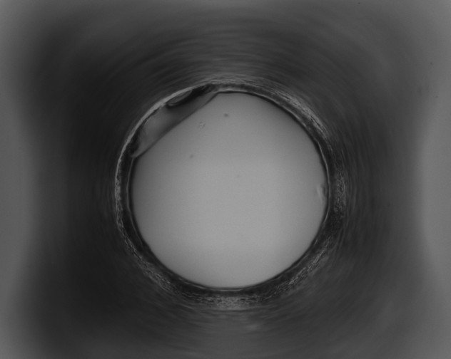 X0000100190976200806201251