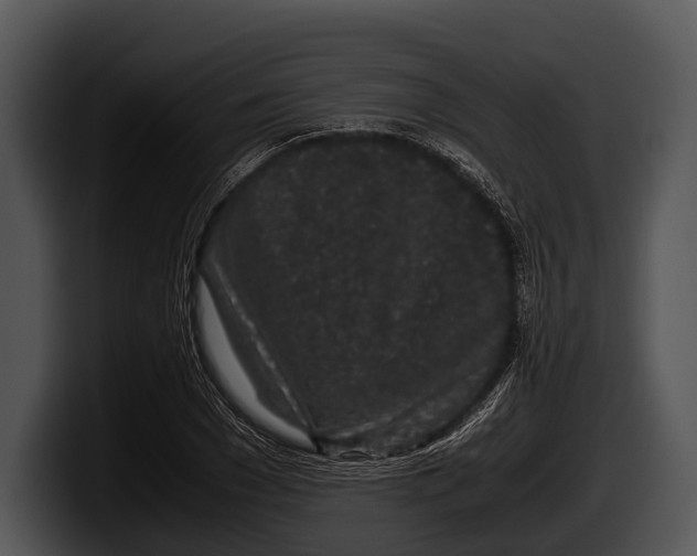 X0000100190977200806201251