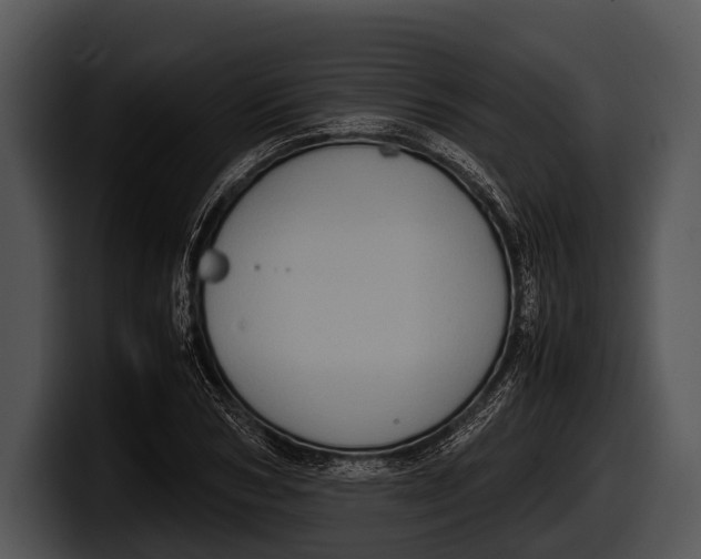 X0000100190978200806201251