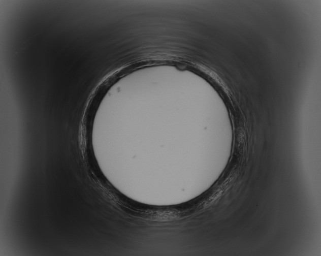 X0000100190979200806201251