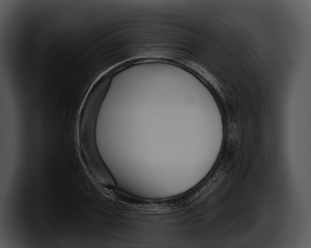 X0000100190980200806201251