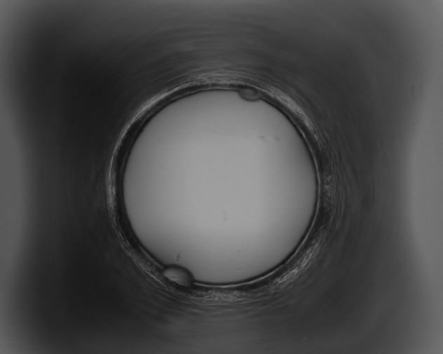 X0000100190981200806201251