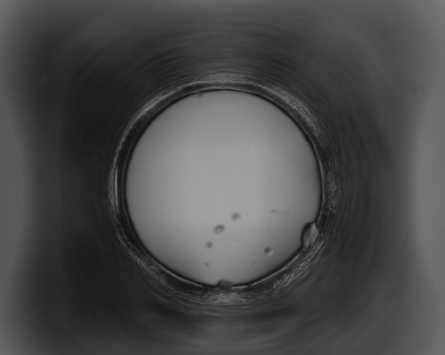 X0000100190982200806201251