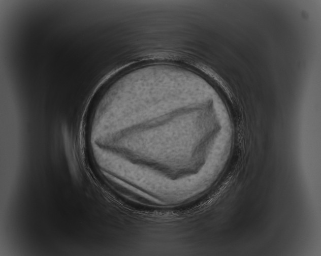 X0000100190983200806201251