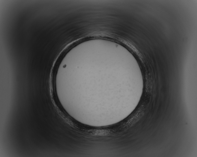 X0000100190984200806201251