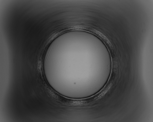 X0000100190985200806201251