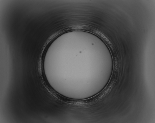 X0000100190986200806201251