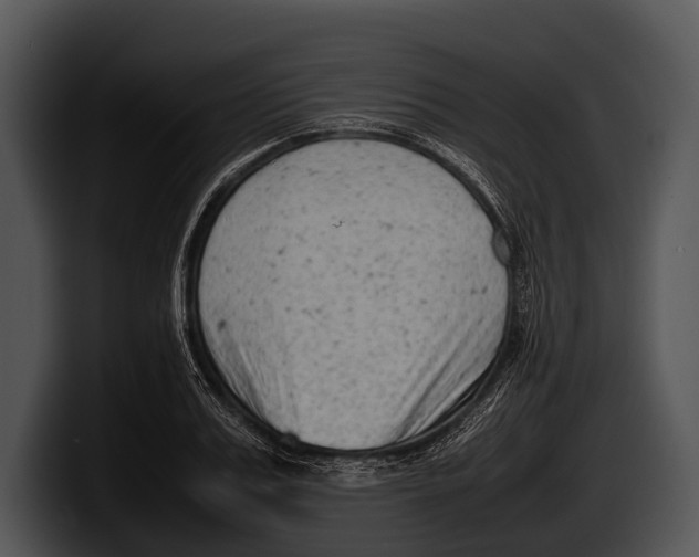 X0000100190987200806201251