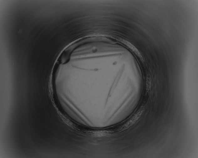 X0000100190988200806201251