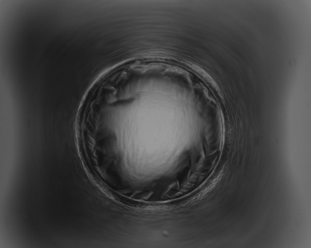 X0000100190989200806201251