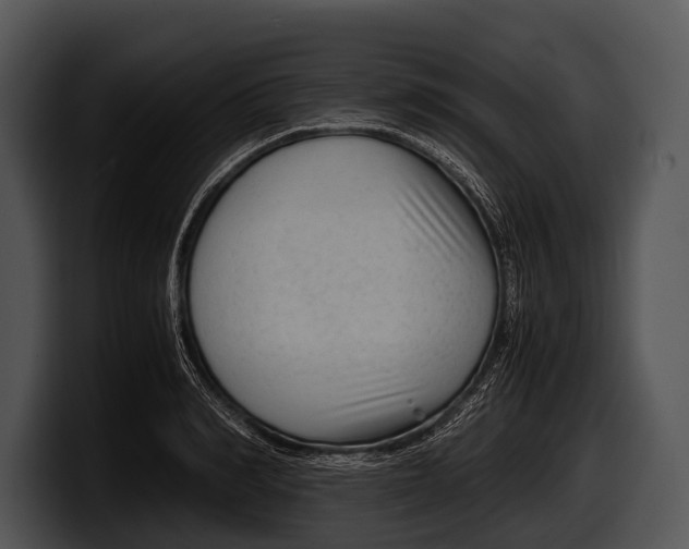 X0000100190990200806201251