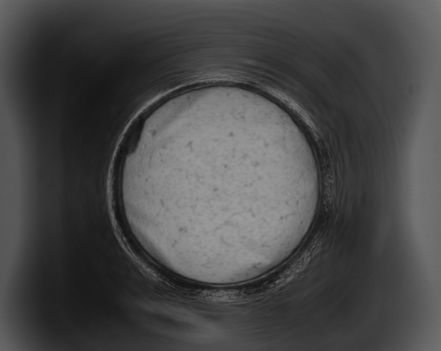 X0000100190991200806201251