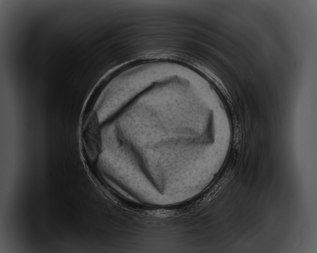 X0000100190992200806201251