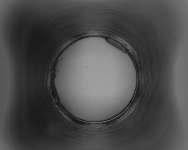 X0000100190993200806201251