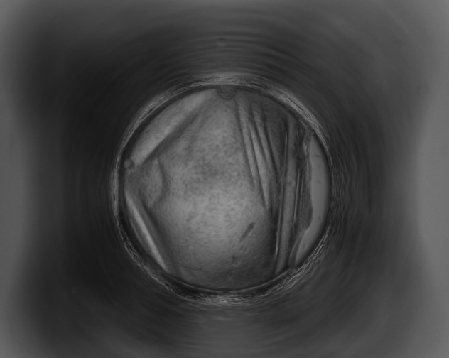 X0000100190994200806201251