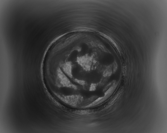 X0000100190995200806201251