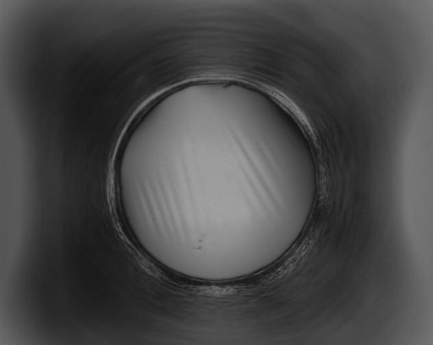 X0000100190996200806201251