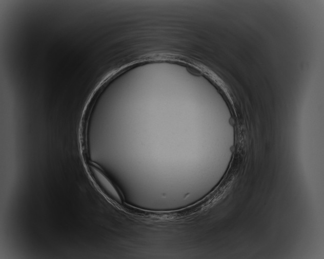 X0000100190997200806201251