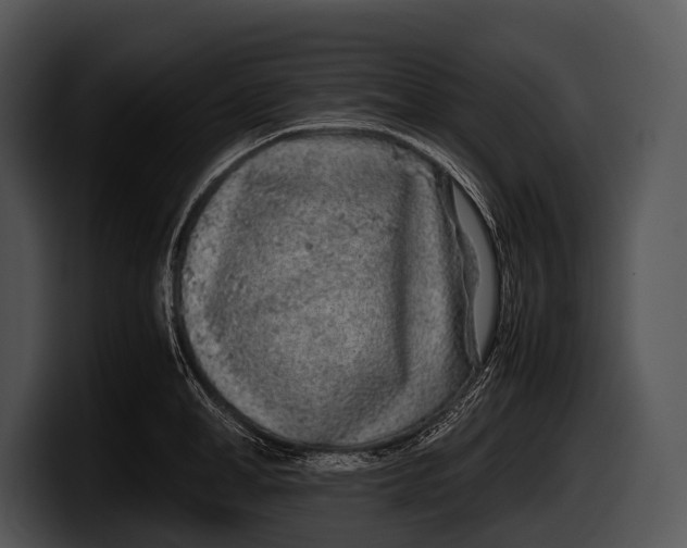 X0000100190998200806201251