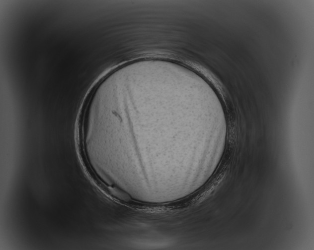 X0000100190999200806201251