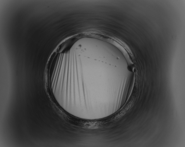 X0000100191000200806201251