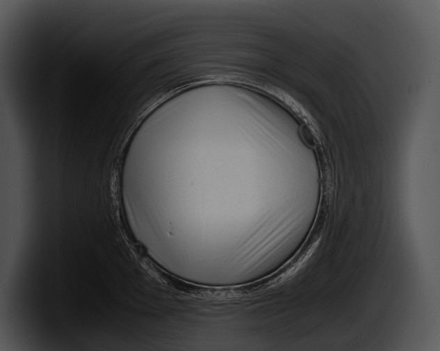 X0000100191001200806201251