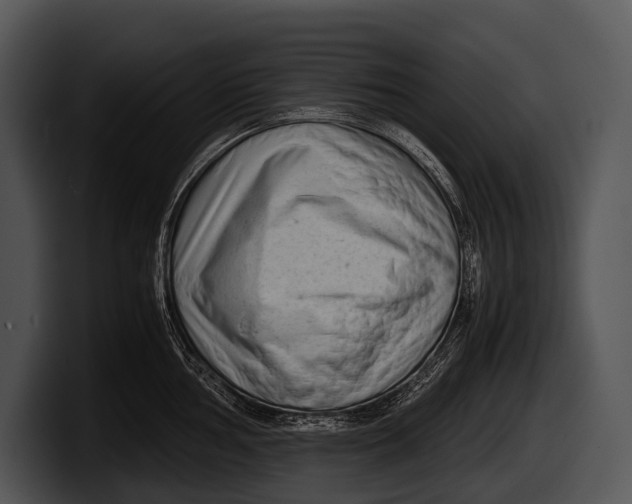 X0000100191002200806201251