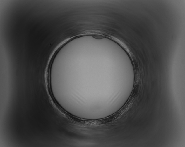 X0000100191003200806201251