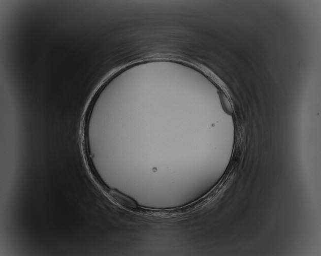 X0000100191005200806201250