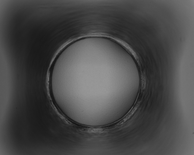 X0000100191006200806201250