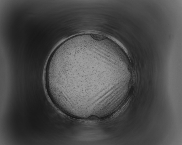 X0000100191007200806201250