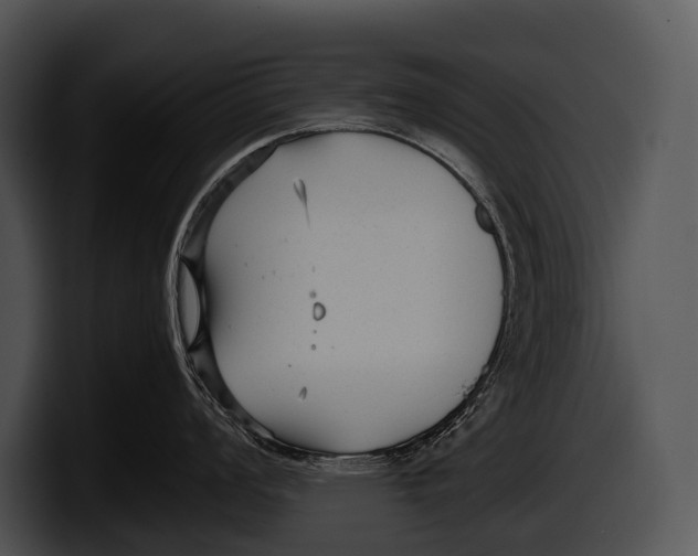 X0000100191008200806201250