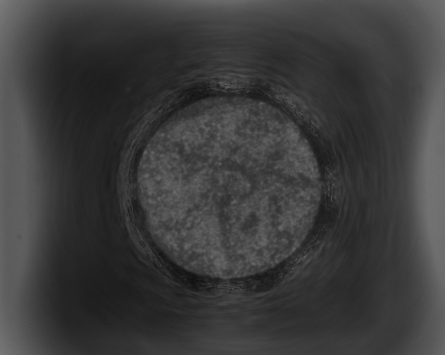 X0000100191009200806201250