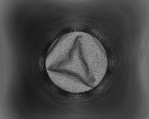 X0000100191010200806201250